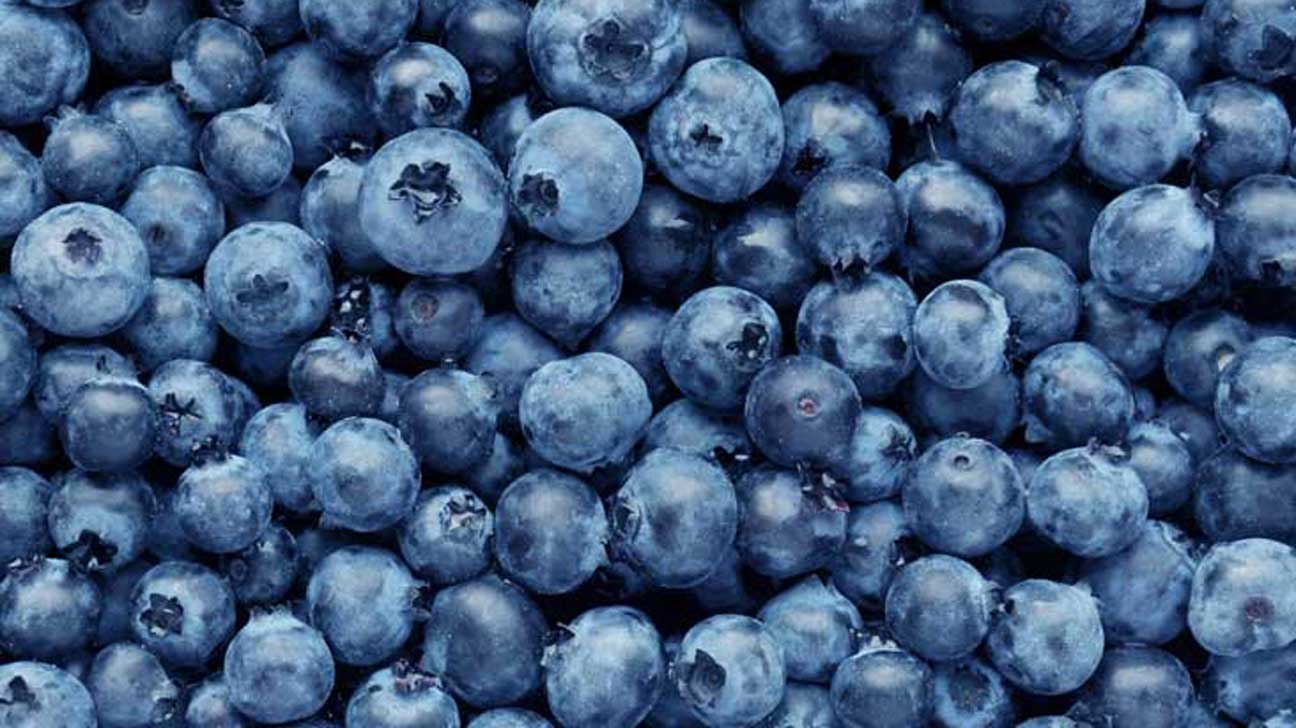 Blueberries - test c2
