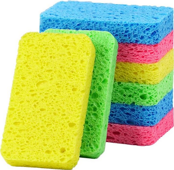 Sponge